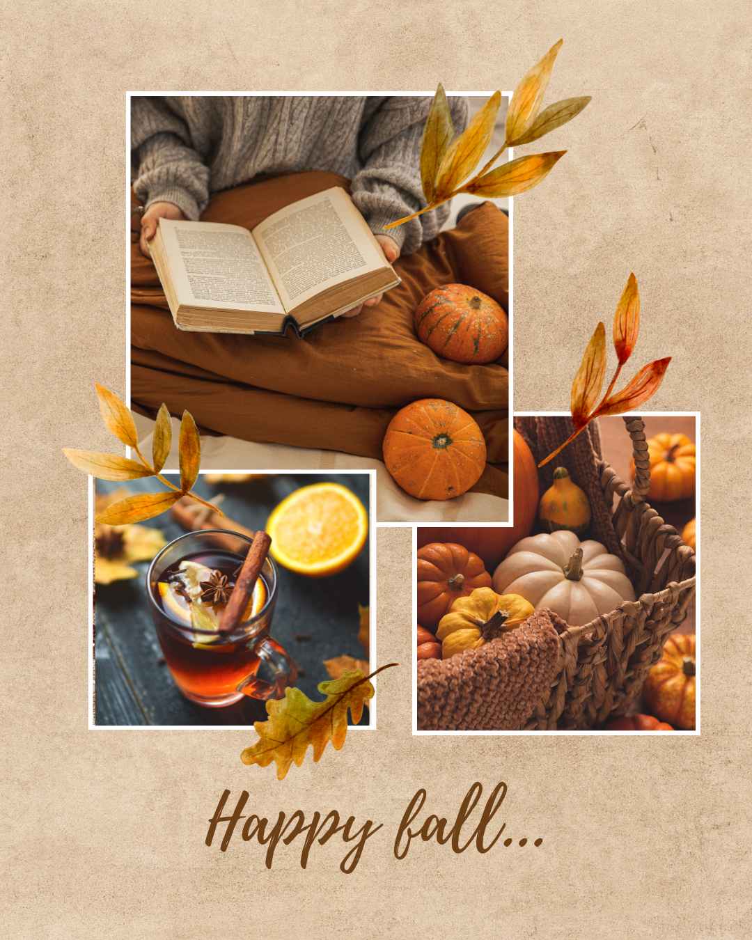 Fall Favourites