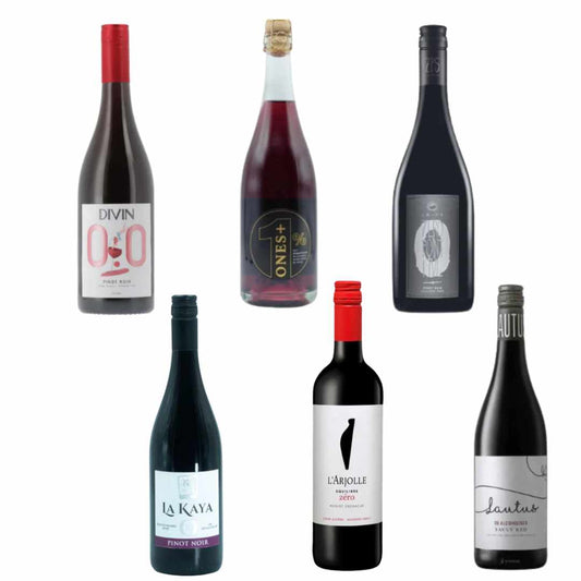 Sober Sampler | Non-Alcoholic Wine Sampler – Red Wine Variety 6 Pack